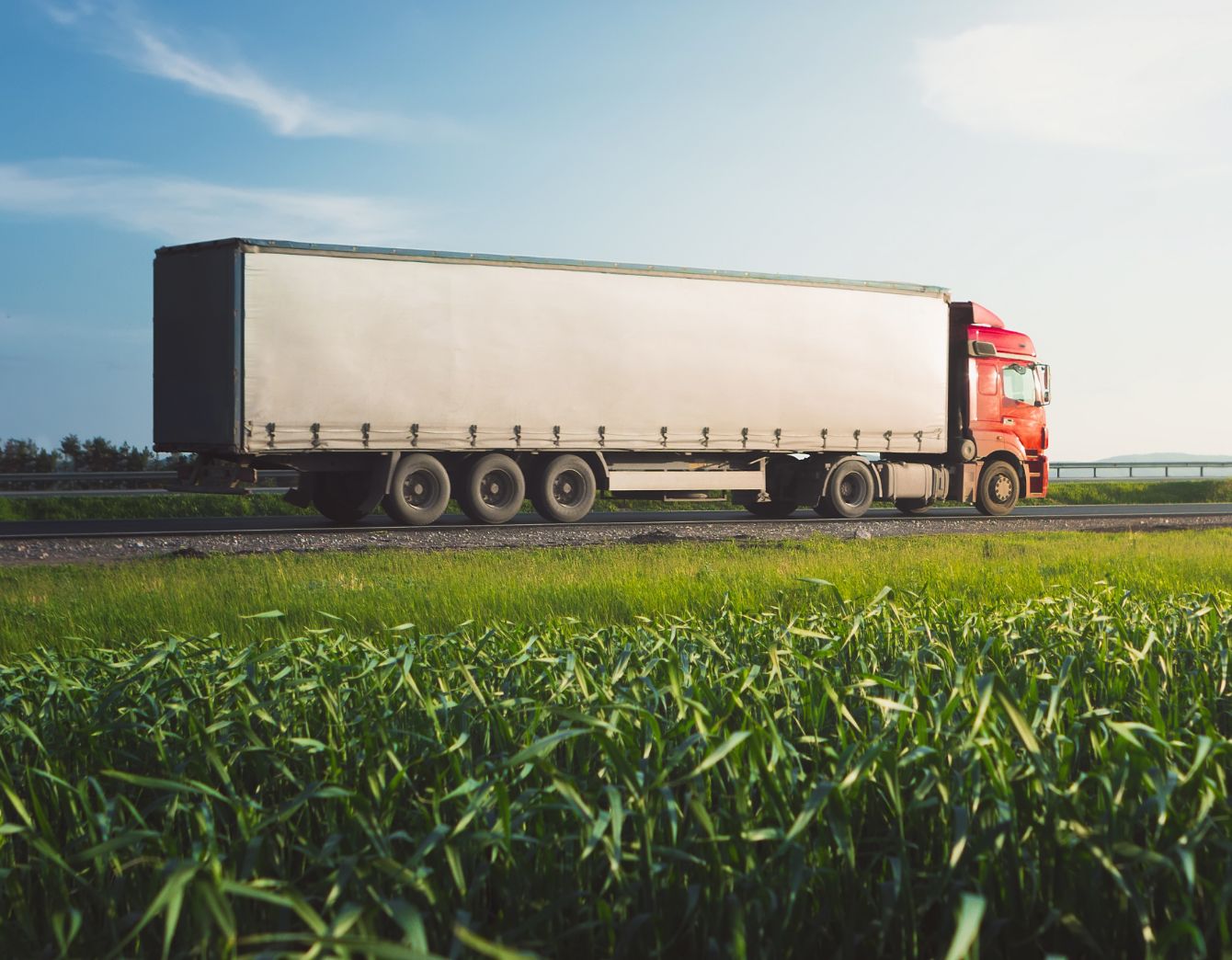 Camion de transport Chiche