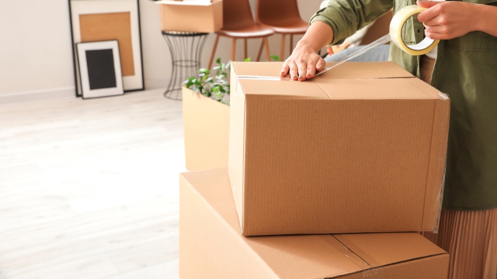 Header article Chiche – 3