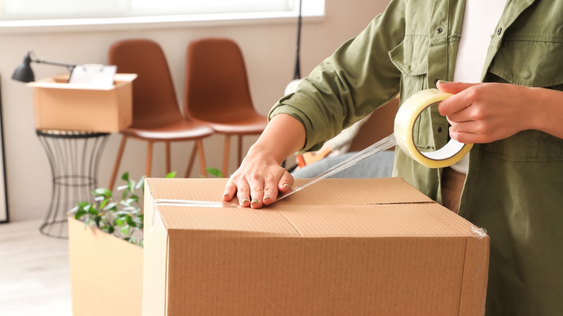 Header article Chiche – 3.1