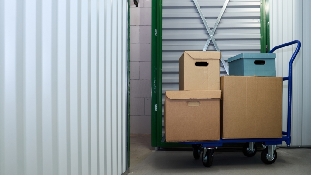 Header article Chiche – 4